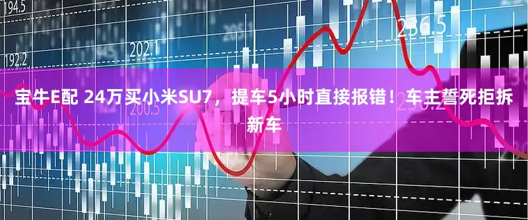 宝牛E配 24万买小米SU7，提车5小时直接报错！车主誓死拒拆新车